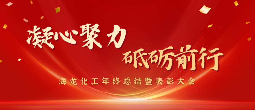 表彰 | 凝心聚力，砥礪前行，海龍化工年終總結暨表彰大會圓滿舉行